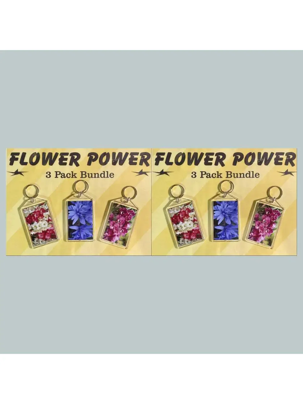 3706B Threefer Bundle Gladiolus/Crocus/Orchids Acrylic Keychain | Great Gift